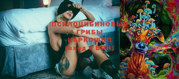 PSILOCYBIN Балабаново