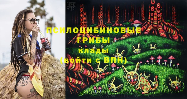 PSILOCYBIN Балабаново