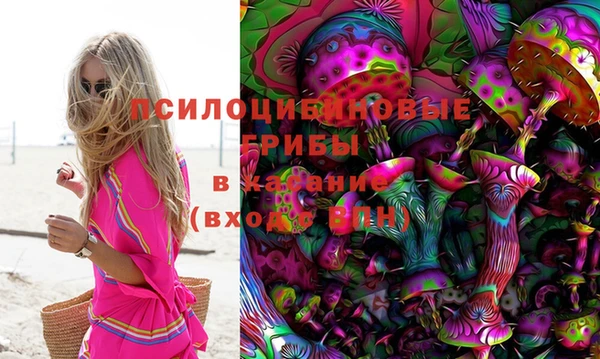 PSILOCYBIN Балабаново