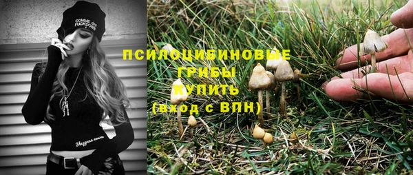 PSILOCYBIN Балабаново